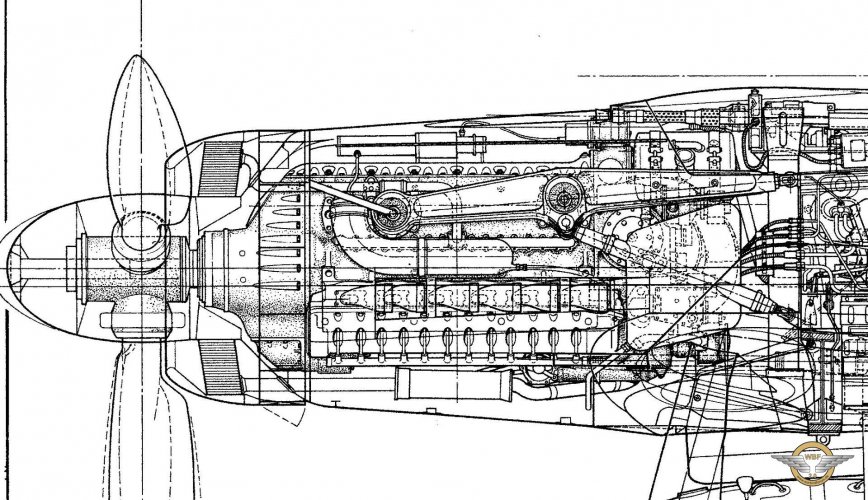 f7902f298362792.jpg