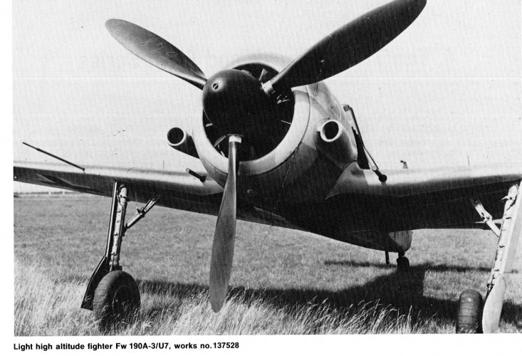 749.jpg