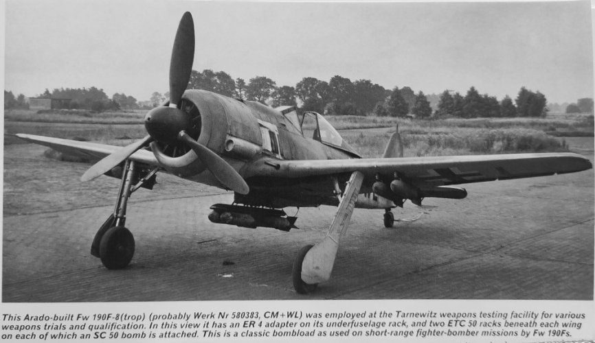 Fw190F-8(trop).jpg