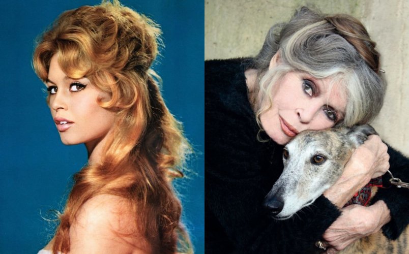 de-que-murio-brigitte-bardot.jpg