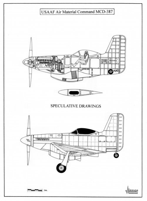 788.jpg