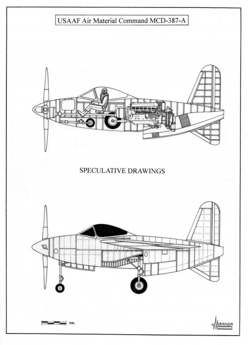 790.jpg