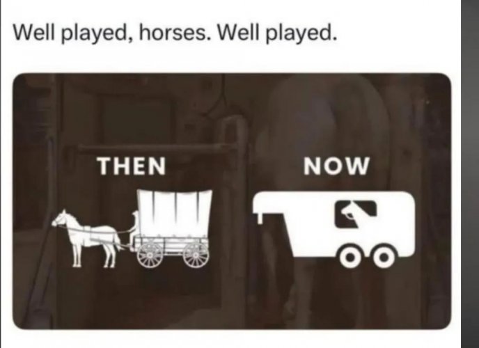1000005943.jpg