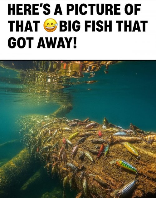 b45a5c7160487c2a02cd7359b772f630.jpg