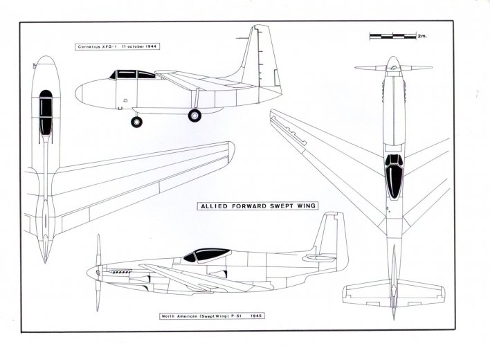 Picture5.jpg