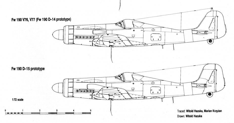 953.jpg