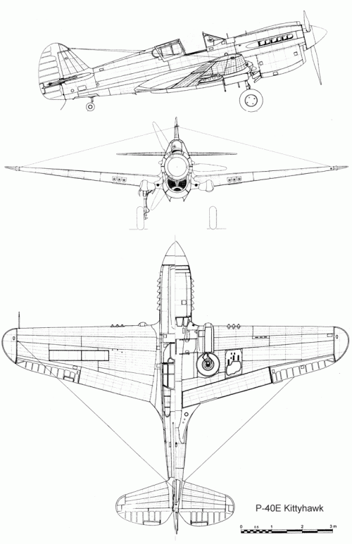p40_sh.gif