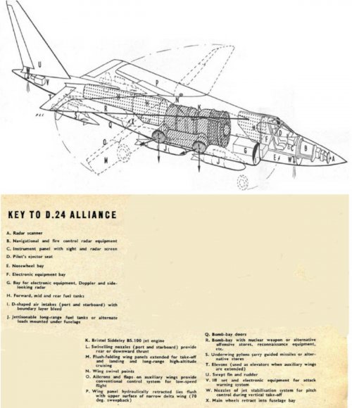 D24.jpg