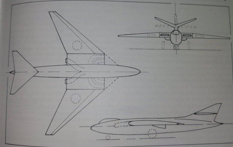 481949139_122221398560224233_7520061058425575129_n (1).jpg