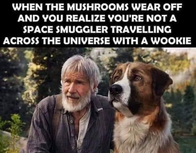 starwars-after the party.jpg
