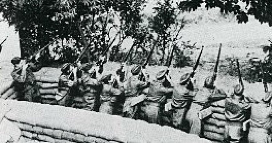 1730145.jpg