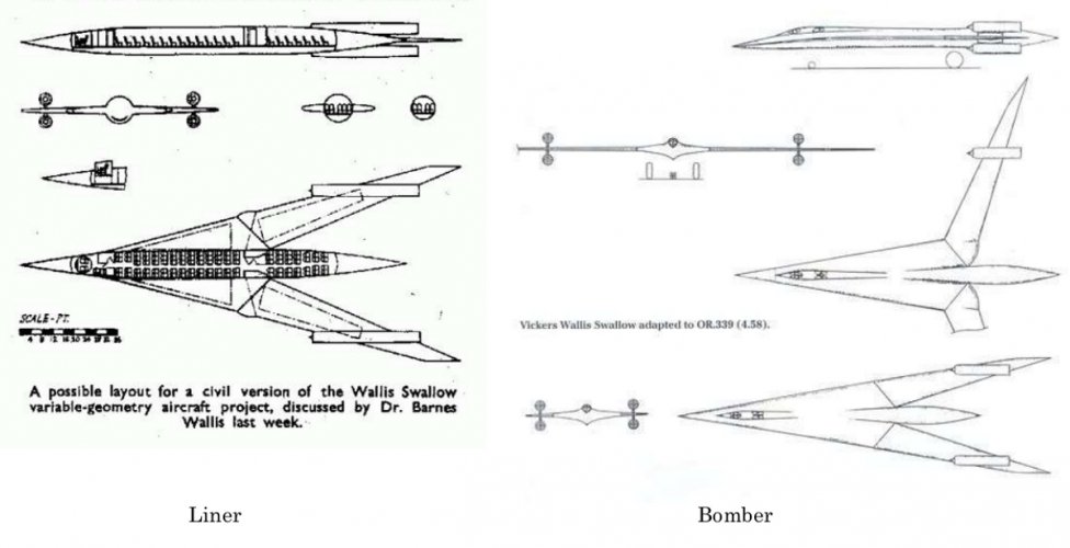 Swallow liner and bpmber.jpg
