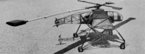 Flying Crane 1.JPG