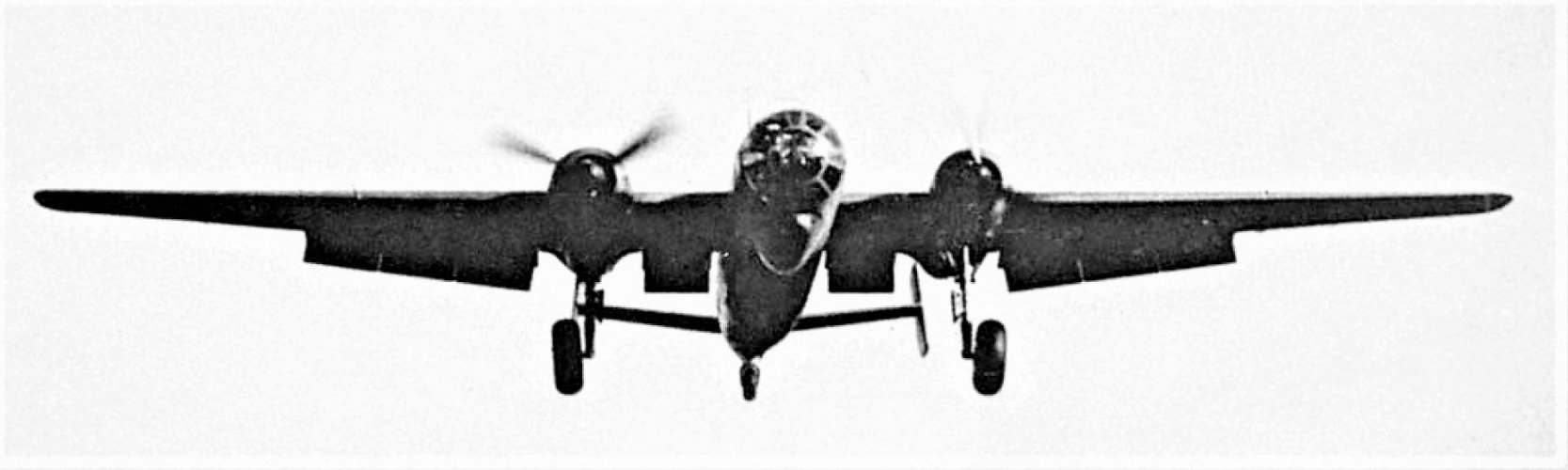 fw191-16.jpg