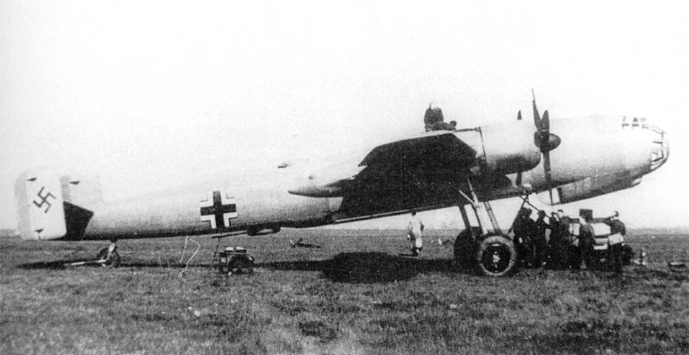 fw191-2.jpg