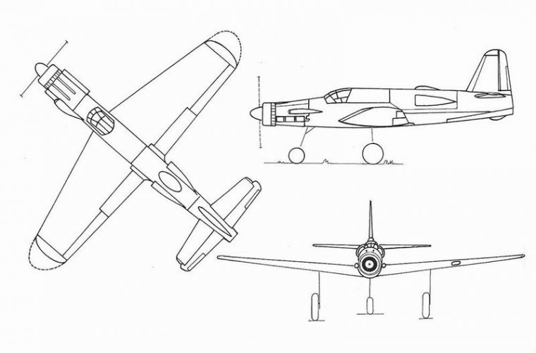 Dornier P254-1.jpg