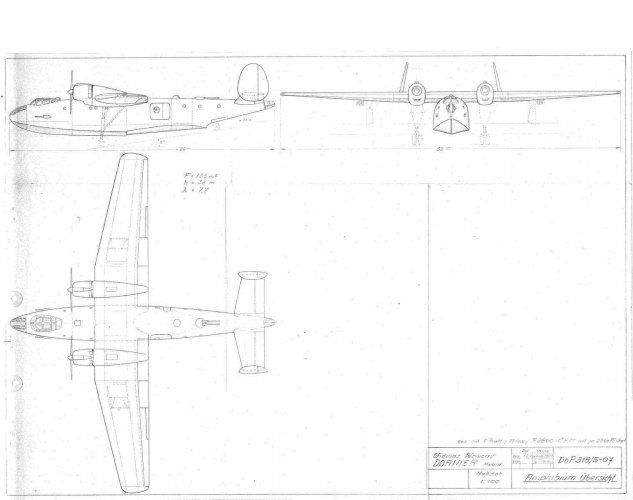 do P-318.jpg