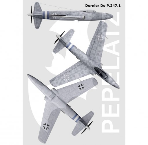 P247-1.jpg