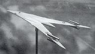 swingwing.jpg