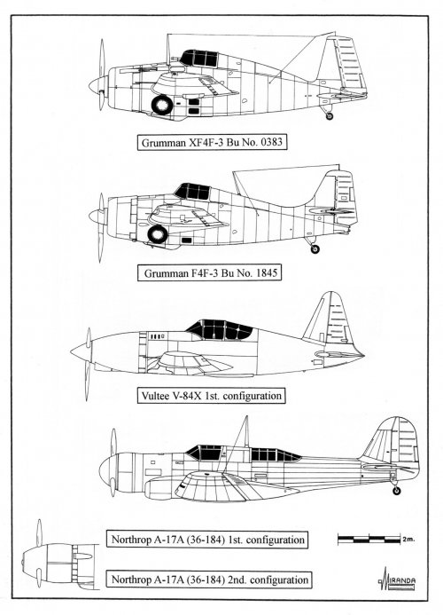 Picture3.jpg