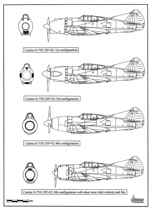 Picture4.jpg