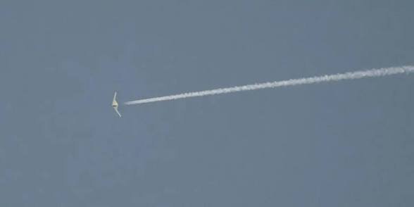 IMG_3807.jpeg