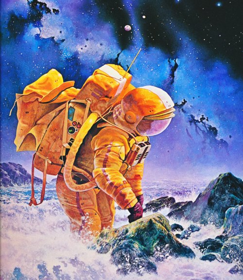 Shipwreck (David Bergen).jpg