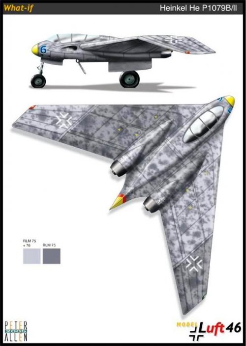 heinkel_he_p_1079_bII_ocho.jpg