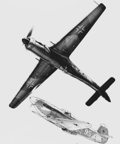 ta152h.jpg