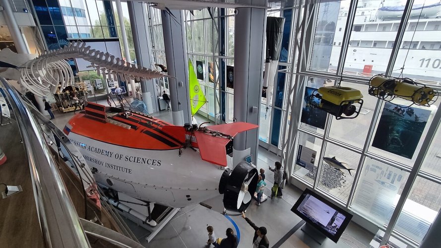 Kaliningrad_-_World_Ocean_Museum_-_Interior,_Whale_skeleton_and_Mir-1.jpg