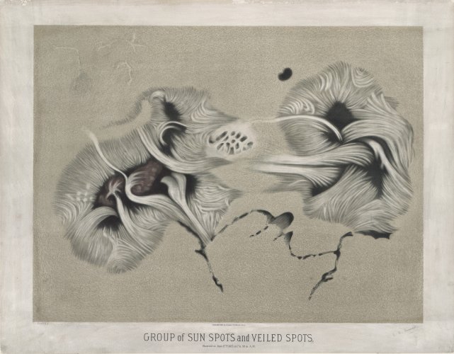 Group of sun spots and veiled spots. Observed on June 17th 1875 at 7 h. 30 m. A.M. (Plate I.jpg