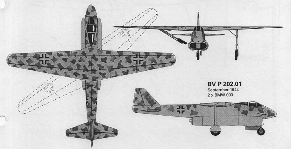 P202-01 (2).jpg