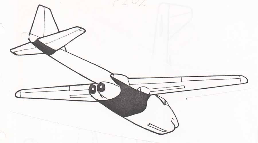 P202.jpg
