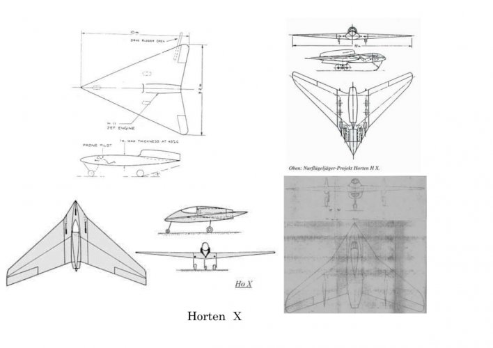 HortenⅩ.jpg