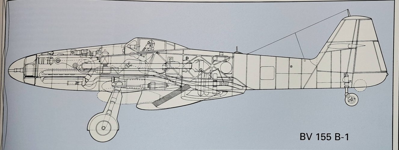 BV 155B-1 side view.jpg