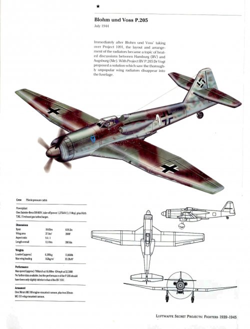 P205.jpg