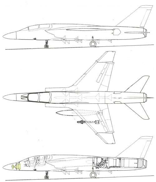 F-107 Vigilante mod 100px=1m v4.png