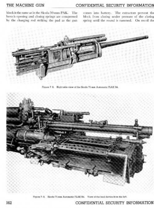 IMG_1617.jpeg