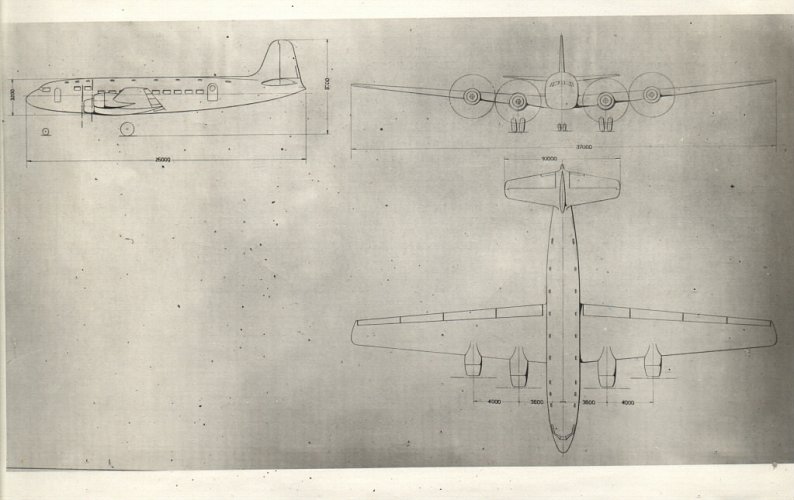 P.141 image 1.jpg