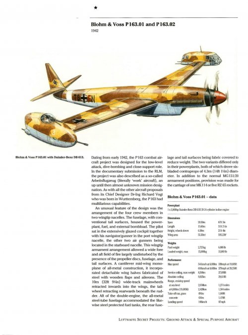 BV P163-01 DB613.jpg