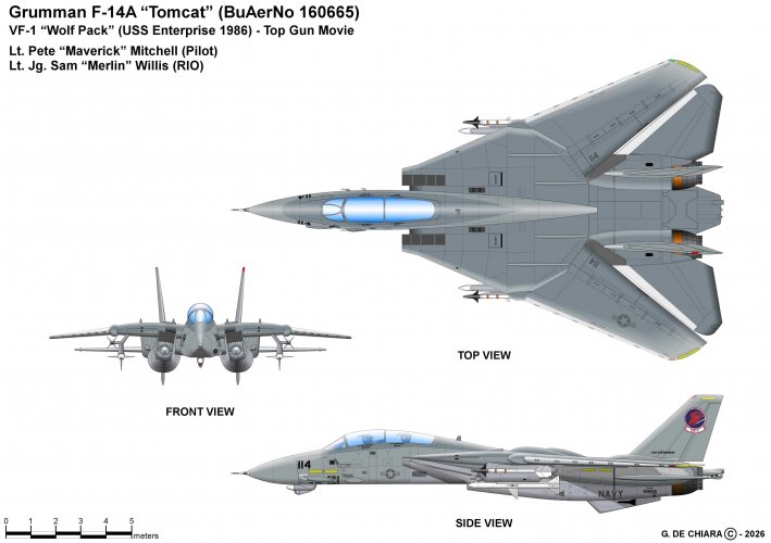 Grumman F-14A Tomcat Top Gun.jpg
