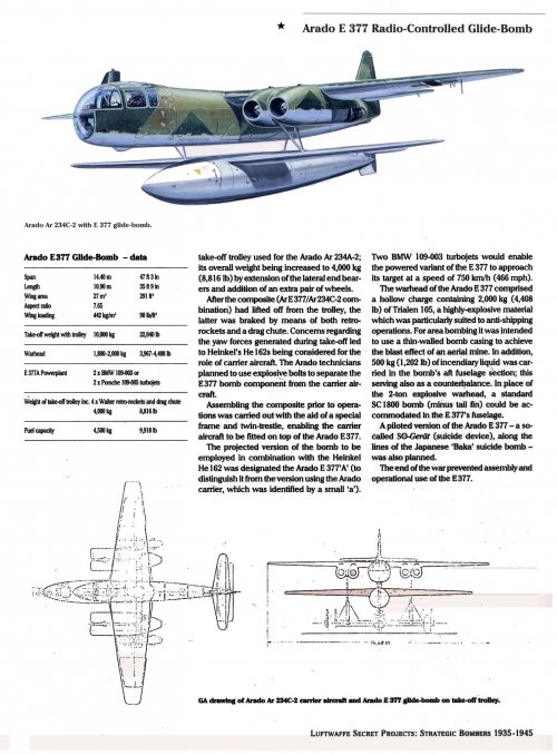 ARADO E377.jpg