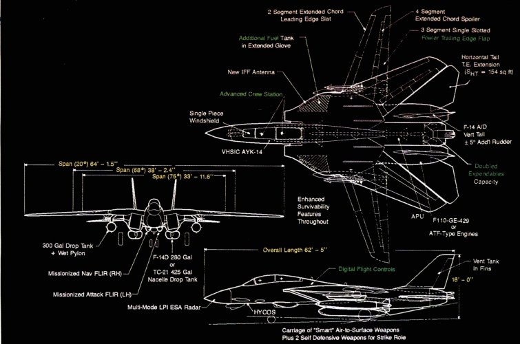 Tomcat21.jpg