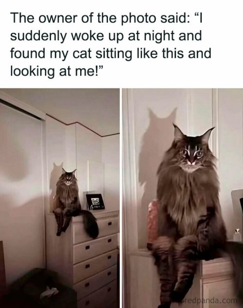 funny-cringe-unhinged-posts-59-6a1440ab9c62b__700.jpg