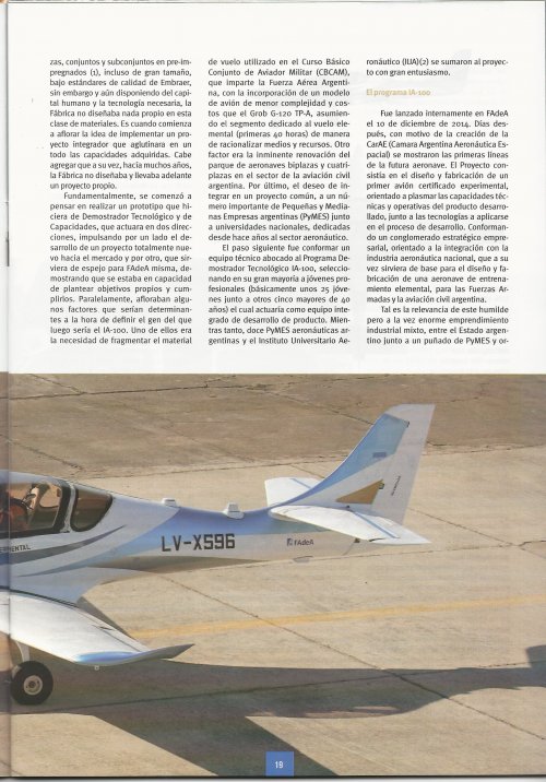IA-100 PAGINA 2.jpeg