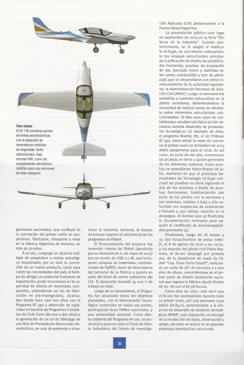 IA-100 PAGINA 3.jpeg