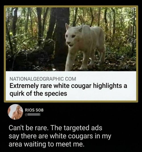 6a16a62a082dd_funny-epic-top-comments__700.jpg