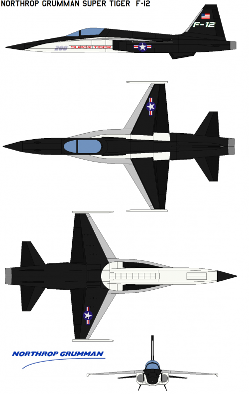 Northrop Grumman Super Tiger  F-12 black 2.png