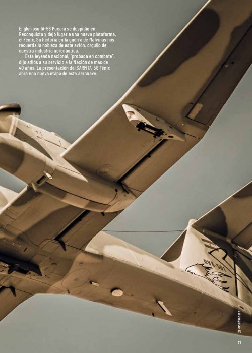 Aeroespacio 627 Pucara Fenix_page-0013.jpg