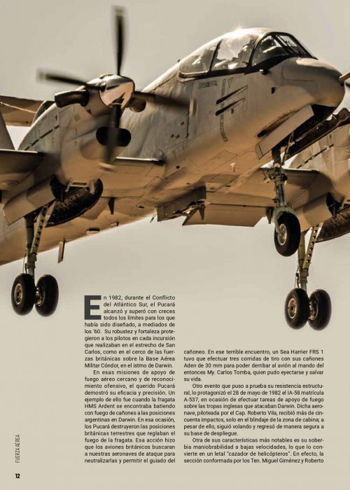 Aeroespacio 627 Pucara Fenix_page-0014.jpg